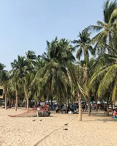 Palm-lined Bang Saen Beach