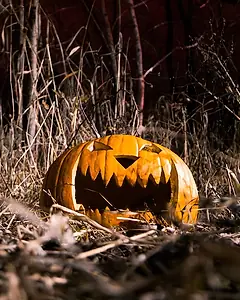 Carved Halloween pumpkin in a spooky forest